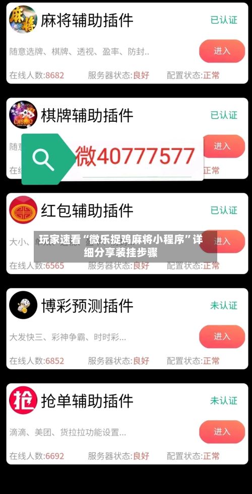 玩家速看“微乐捉鸡麻将小程序”详细分享装挂步骤-第2张图片