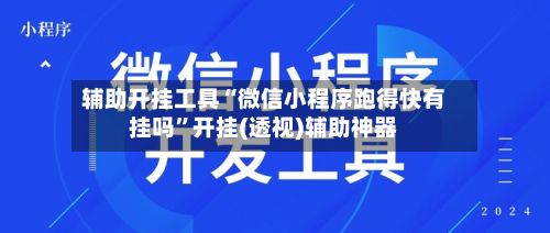 辅助开挂工具“微信小程序跑得快有挂吗”开挂(透视)辅助神器-第2张图片