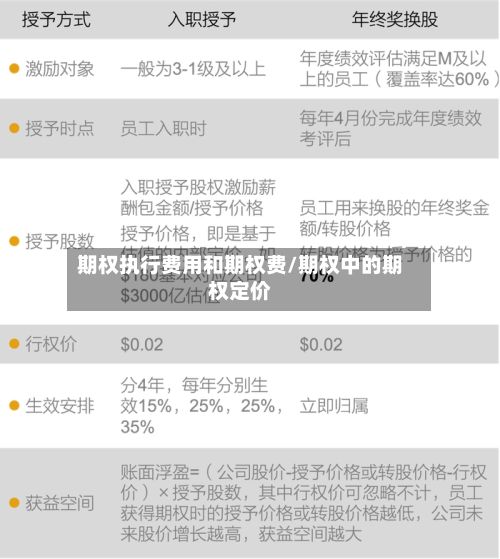 期权执行费用和期权费/期权中的期权定价-第2张图片