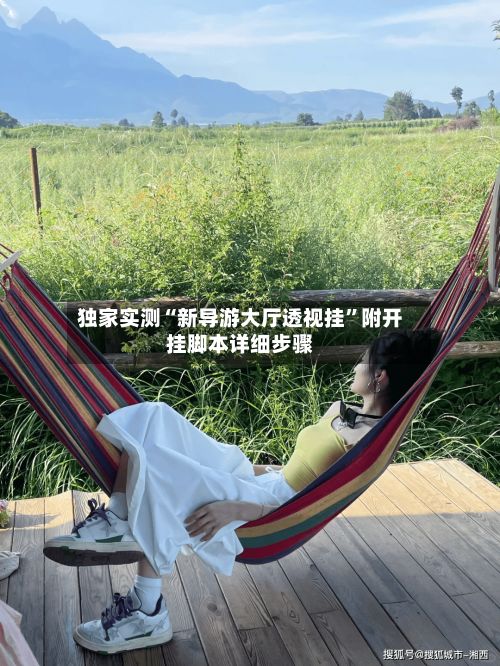 独家实测“新导游大厅透视挂”附开挂脚本详细步骤-第2张图片