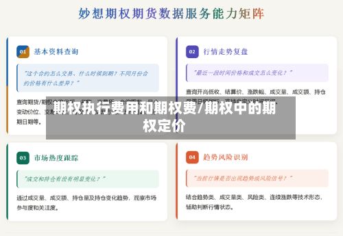 期权执行费用和期权费/期权中的期权定价