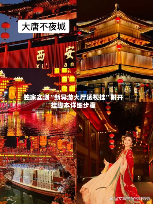 独家实测“新导游大厅透视挂”附开挂脚本详细步骤-第3张图片