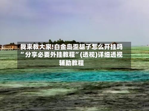 我来教大家!白金岛歪胡子怎么开挂吗”分享必要外挂教程”(透视)详细透视辅助教程-第2张图片