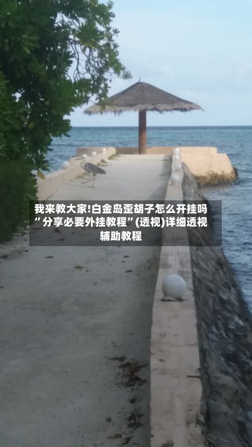 我来教大家!白金岛歪胡子怎么开挂吗	”分享必要外挂教程”(透视)详细透视辅助教程-第3张图片