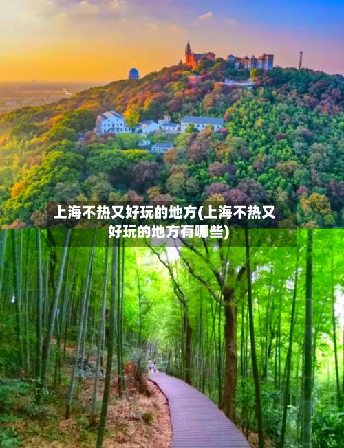 上海不热又好玩的地方(上海不热又好玩的地方有哪些)