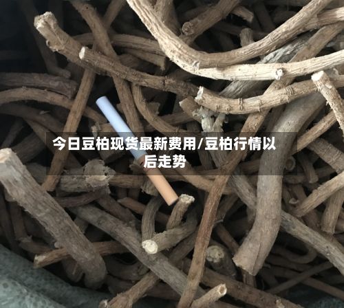 今日豆柏现货最新费用/豆柏行情以后走势