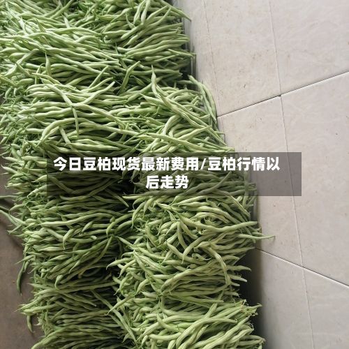 今日豆柏现货最新费用/豆柏行情以后走势-第2张图片