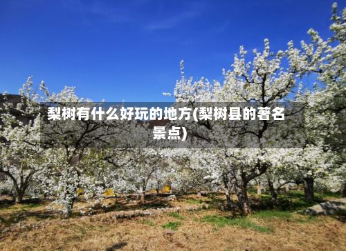 梨树有什么好玩的地方(梨树县的著名景点)