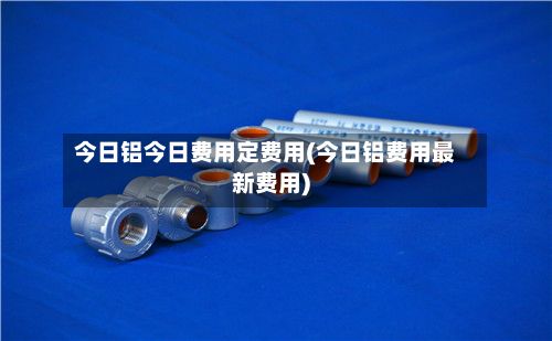 今日铝今日费用定费用(今日铝费用最新费用)-第3张图片