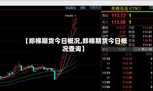【郑棉期货今日概况,郑棉期货今日概况查询】-第2张图片