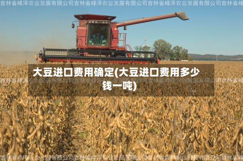 大豆进口费用确定(大豆进口费用多少钱一吨)-第2张图片