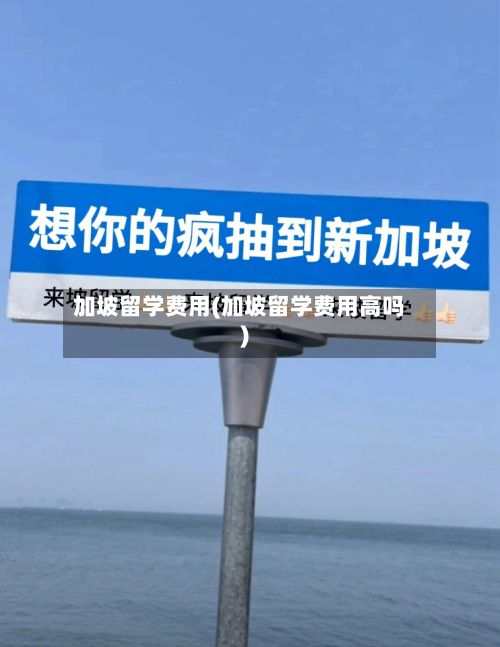 加坡留学费用(加坡留学费用高吗)-第2张图片
