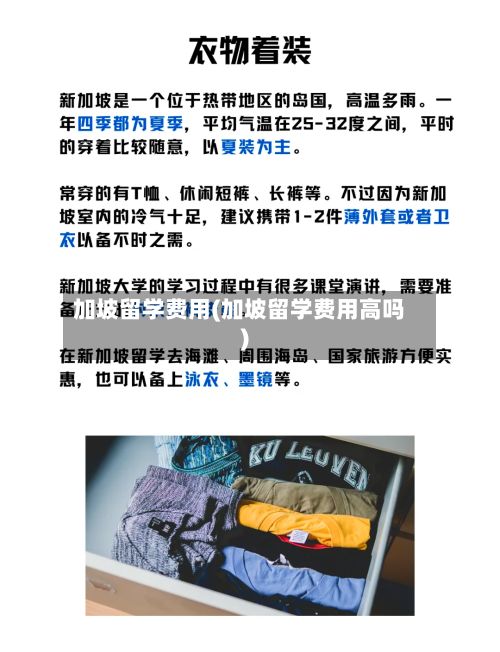 加坡留学费用(加坡留学费用高吗)-第3张图片