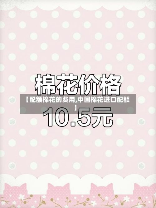 【配额棉花的费用,中国棉花进口配额】-第2张图片
