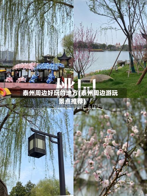 泰州周边好玩的地方(泰州周边游玩景点推荐)