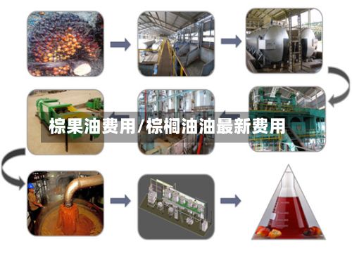 棕果油费用/棕榈油油最新费用