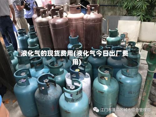 液化气的现货费用(液化气今日出厂费用)-第3张图片