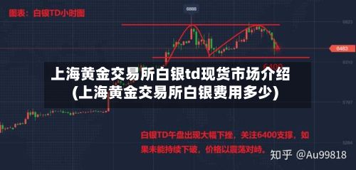 上海黄金交易所白银td现货市场介绍(上海黄金交易所白银费用多少)-第2张图片