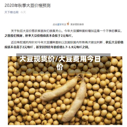 大豆现货价/大豆费用今日价-第2张图片