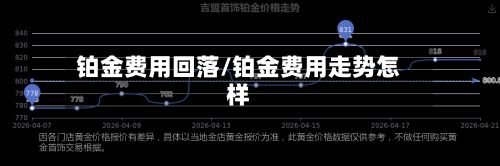 铂金费用回落/铂金费用走势怎样-第2张图片