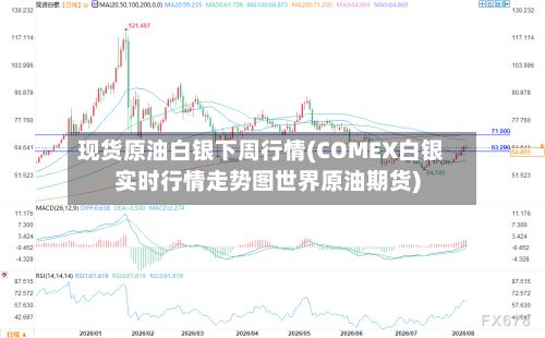 现货原油白银下周行情(COMEX白银实时行情走势图世界原油期货)-第2张图片