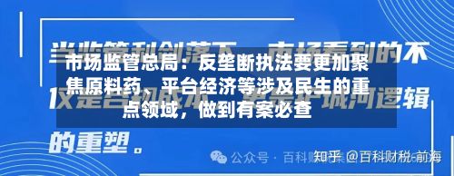 市场监管总局：反垄断执法要更加聚焦原料药、平台经济等涉及民生的重点领域，做到有案必查-第3张图片