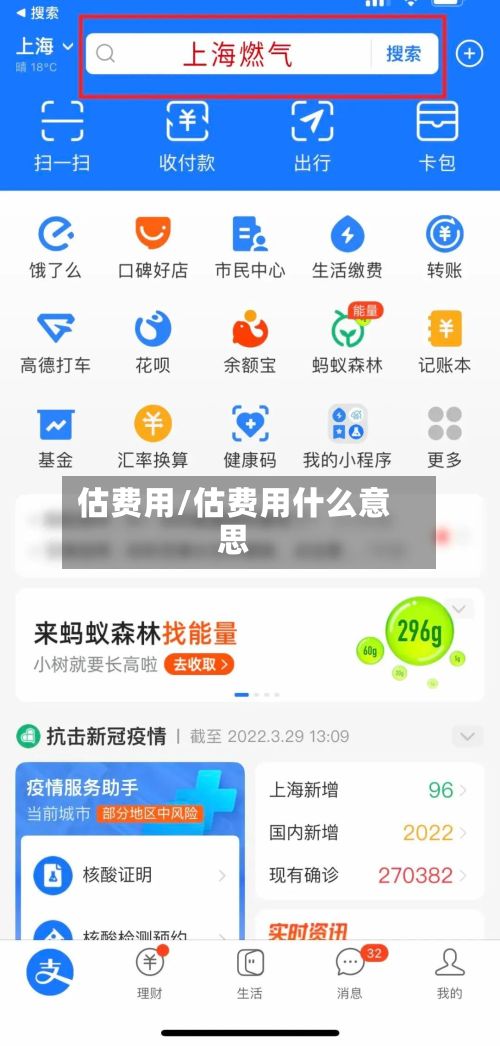 估费用/估费用什么意思