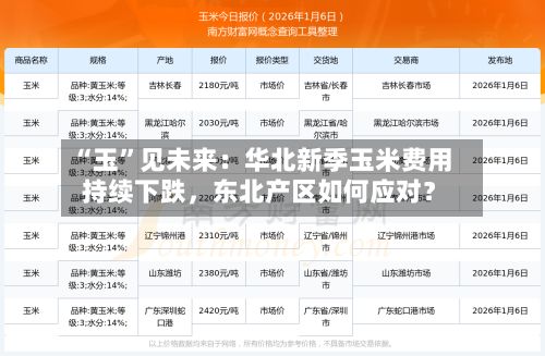 “玉	”见未来：华北新季玉米费用持续下跌，东北产区如何应对？-第2张图片