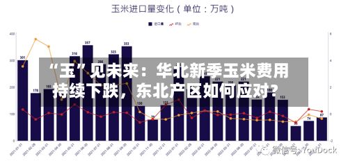 “玉”见未来：华北新季玉米费用持续下跌	，东北产区如何应对？-第1张图片