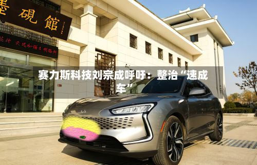 赛力斯科技刘宗成呼吁：整治“速成车”-第1张图片