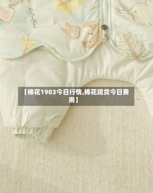 【棉花1903今日行情,棉花现货今日费用】