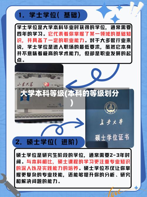 大学本科等级(本科的等级划分)-第2张图片