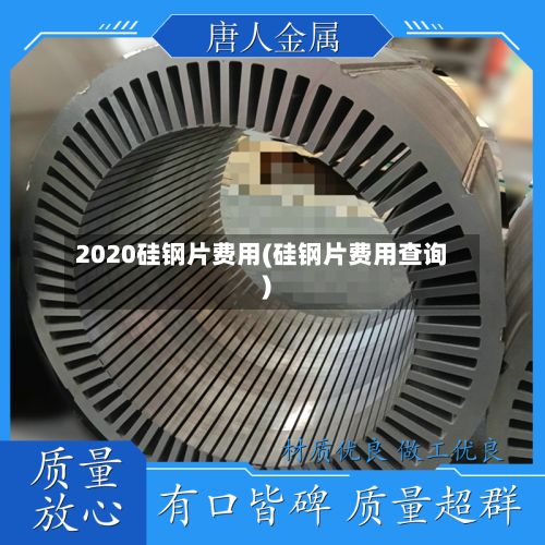 2020硅钢片费用(硅钢片费用查询)