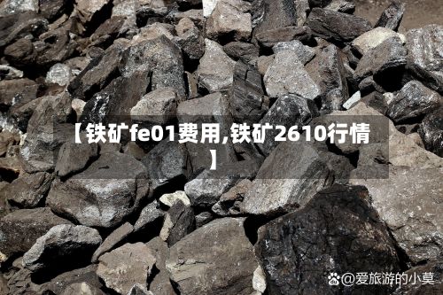 【铁矿fe01费用,铁矿2610行情】