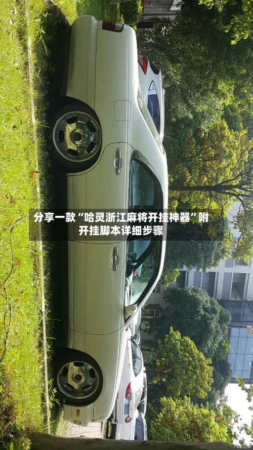 分享一款“哈灵浙江麻将开挂神器”附开挂脚本详细步骤-第2张图片