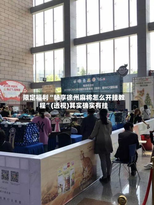 限定福利“畅享徐州麻将怎么开挂教程”(透视)其实确实有挂