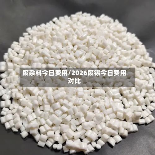 废杂料今日费用/2026废锡今日费用对比