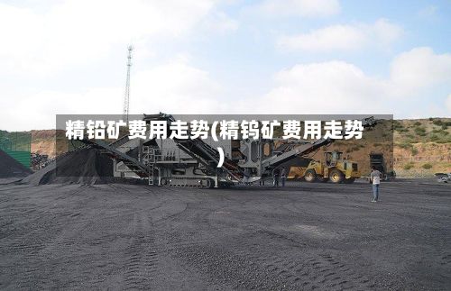 精铅矿费用走势(精钨矿费用走势)