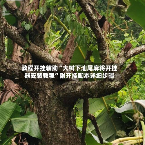 教程开挂辅助“大树下汕尾麻将开挂器安装教程	”附开挂脚本详细步骤-第2张图片