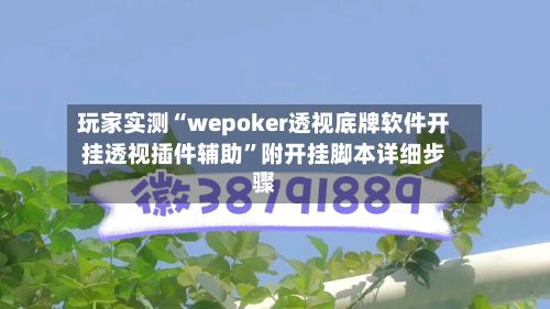 玩家实测“wepoker透视底牌软件开挂透视插件辅助”附开挂脚本详细步骤-第2张图片