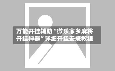 万能开挂辅助“微乐家乡麻将开挂神器	”详细开挂安装教程-第3张图片