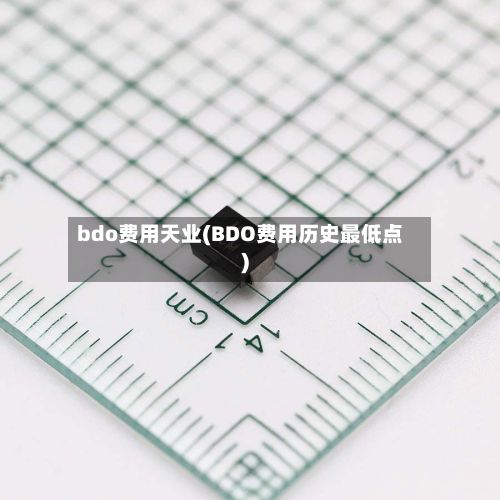 bdo费用天业(BDO费用历史最低点)-第3张图片