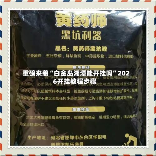重磅来袭“白金岛湘潭能开挂吗”2026开挂教程步骤-第3张图片