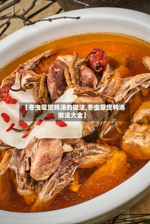 【冬虫草煲鸡汤的做法,冬虫草煲鸭汤做法大全】