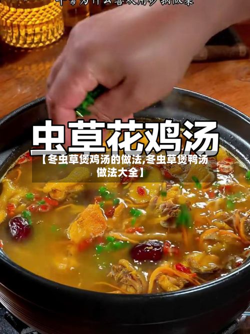 【冬虫草煲鸡汤的做法,冬虫草煲鸭汤做法大全】-第2张图片