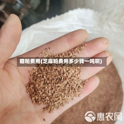 糖粕费用(芝麻粕费用多少钱一吨啊)