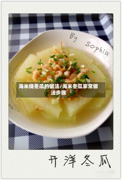 海米烧冬瓜的做法/海米冬瓜家常做法步骤