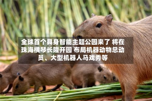 全球首个具身智能主题公园来了 将在珠海横琴长隆开园 布局机器动物总动员、大型机器人马戏秀等-第2张图片