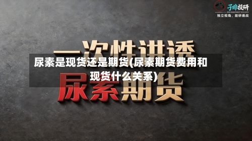 尿素是现货还是期货(尿素期货费用和现货什么关系)-第3张图片