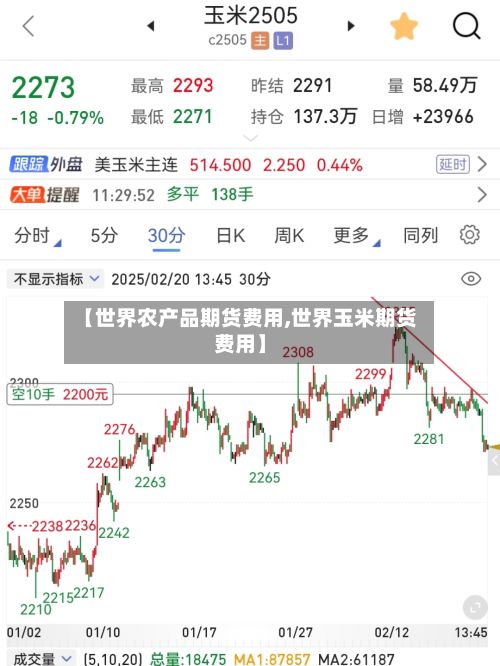 【世界农产品期货费用,世界玉米期货费用】